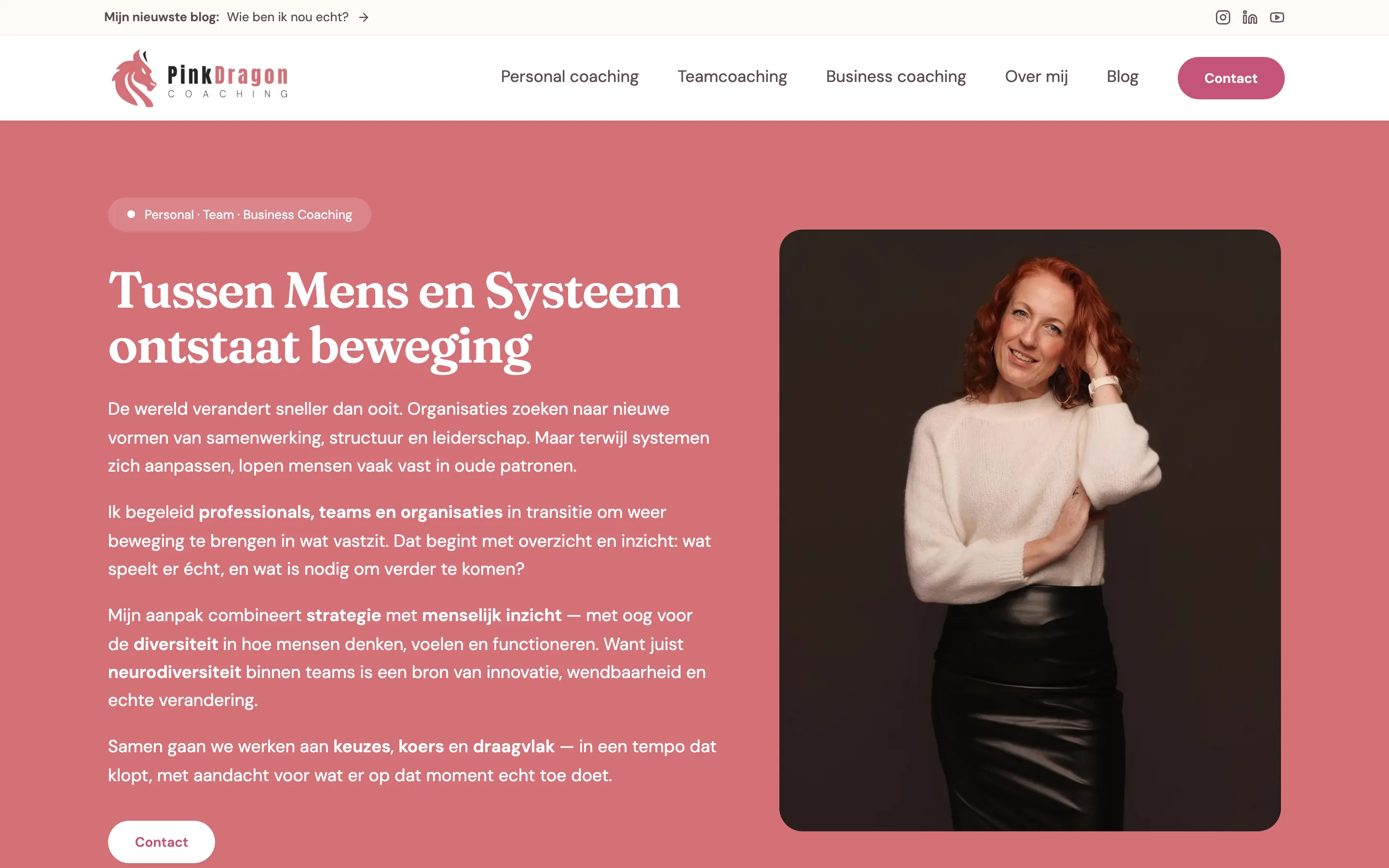 PinkDragon Coaching, desktopweergave